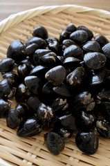 Obraz premium しじみ