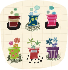 Variety of potted plants