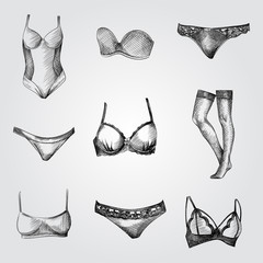 Hand Drawn Woman's underwear Sketches Set. Collection Of panties, Stockings and bra sketches on white background.  Woman's underwear hand drawing sketches elements