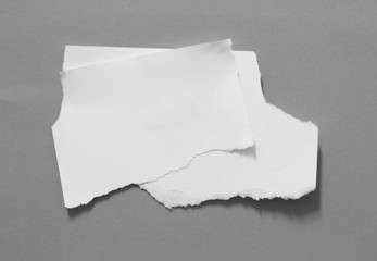 torn paper on gray background with copy space for text