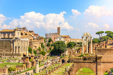 View on the Roman Forum: The Temple of Antoninus and Faustina, The Temple of Venus and Rome, the Temple of Castor and Pollux and the Coliseum