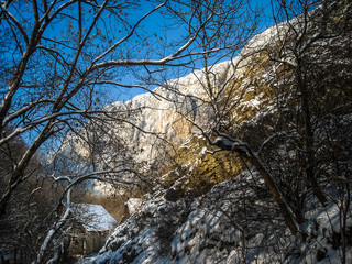 Leafless tree branches covered with snow with background of a mountain  and blue sky during winter season. Winter landscape in the mountains.