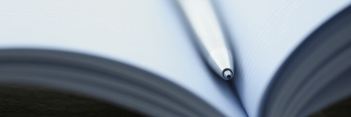Silver pen lying on opened notebook sheet