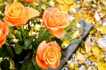 Bouquet of orange rose flowers, autumn fallen leaves on ground