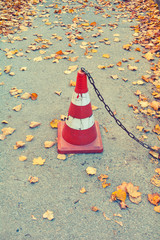 Traffic cone, dry fallen autumn leaves on the concrete asphalt