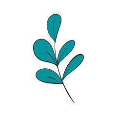 Leaf Isolated On A White Background Hand Drawn Illustration