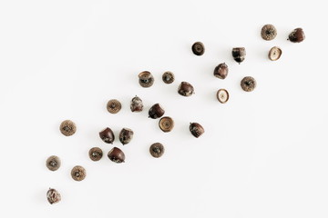 Autumn minimal composition. Acorns collage on white background. Autumn, fall modern concept. Flat lay, top view, copy space 