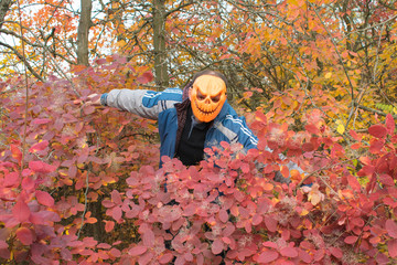 Man with a pumpkin on his head. Halloween legend.