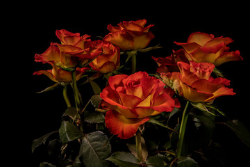Rosenstrauß