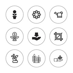 Collection of 9 outline grow icons