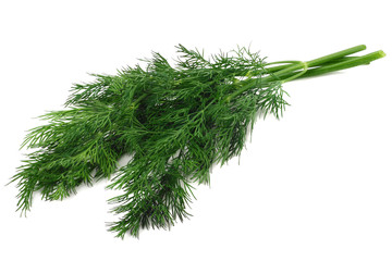 bunch fresh green dill isolated on white background