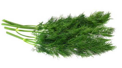 bunch fresh green dill isolated on white background