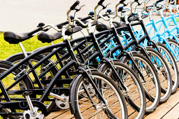 rows of bicycle wheels, bike rental