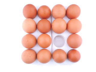chicken eggs on white background