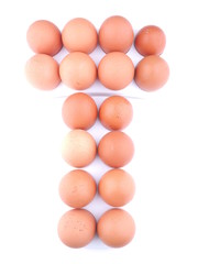 chicken eggs on white background