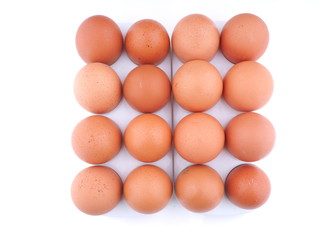 chicken eggs on white background