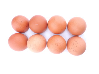 chicken eggs on white background