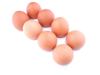 chicken eggs on white background