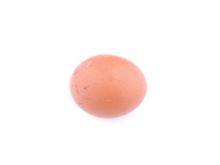 chicken eggs on white background