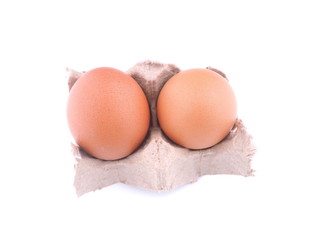 chicken eggs on white background