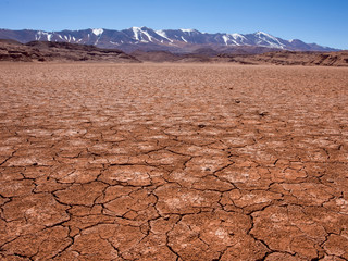Tolar Grande Salta, Argentina South america