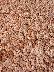 Tolar Grande Salta, Argentina South america