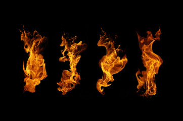 fire flame collection on black background
