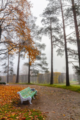 Catherine Park in Pushkin, St. Petersburg, Russia