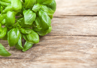 basilic sur planche a découper