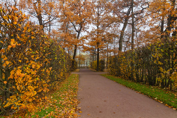 Catherine Park in Pushkin, St. Petersburg, Russia