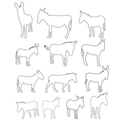 vector, isolated contour of donkeys, sketch, set