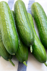 Fresh raw organic green cucumbers, side view. Closeup.