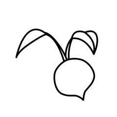 fresh onion vegetarian food