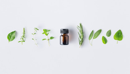 Bottle of essential oil with fresh herbs and spices basil, sage, rosemary, oregano, thyme, lemon...