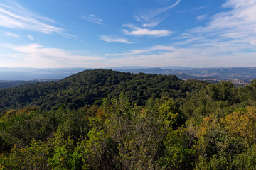 Mediterranean forest in the coast of the Var coast