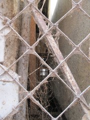 Sinnennetze an einem Geländer in Landsberg am Lech in Oberbayern