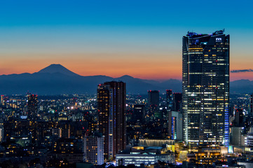 scenic sunset in tokyo taken from shinjuku