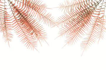 top view of arranged beautiful red fern branches isolated on white