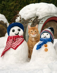 Cat sitting between snowmen in a snow covered garden