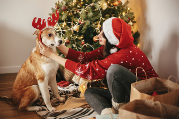girl putting on cute dog reindeer antlers on background of golden beautiful christmas tree with...
