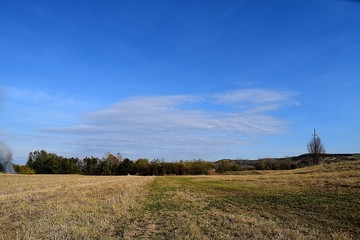 green field and blue sky