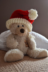 Ours en peluche avec bonnet du père Noël, ourson Saint-Nicolas, fête de Noël, bonne année