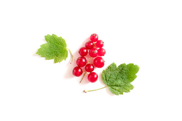 Red currant on a white background