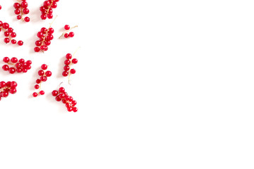 Red currant scattered on a white background