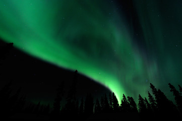 Fototapeta na wymiar Polarlichter - Aurora Borealis