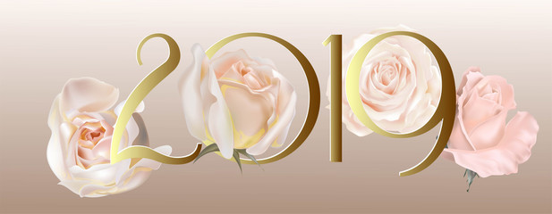 Happy new year 2019 with pink roses