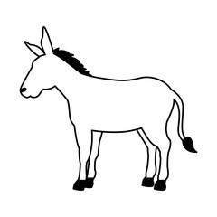 donkey cartoon animal wild life