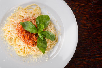 Bolognese in the foreground