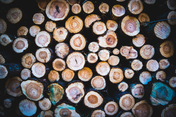 Stacked logs, Background.