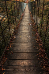 Obraz premium Tibetan Bridge in autumn time